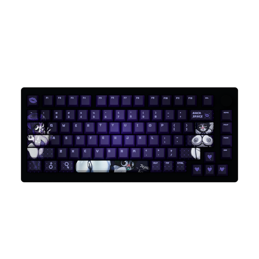 Le Darknud 75% RGB Mechanical Keyboard