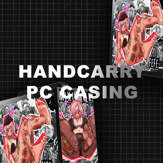 Handcarry PC Casing